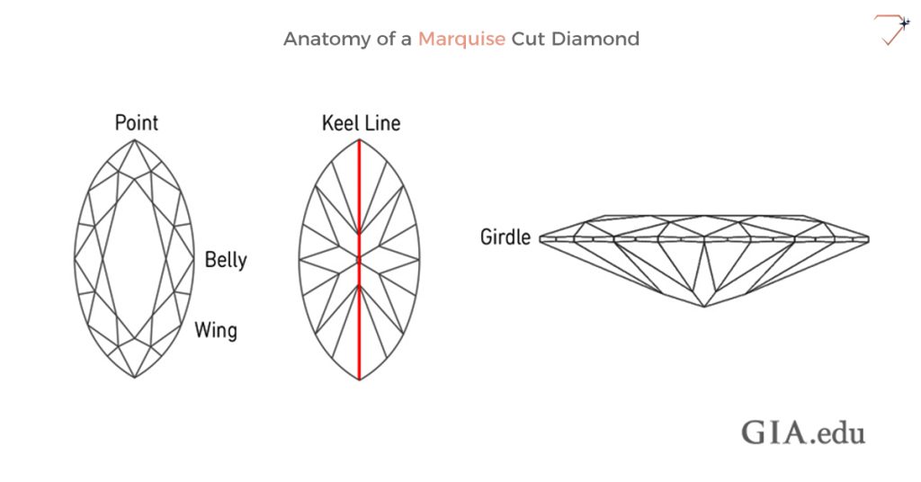Marquise Cut Diamond Anatomy